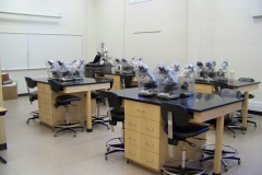 Lab