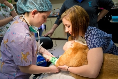 Assisting with surgery