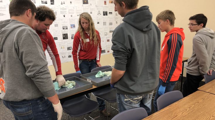 Ag students giving a presentation to high school students