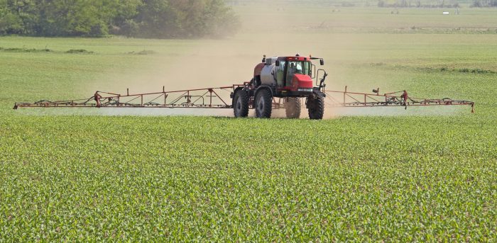 Agricultural vehicle spraying a corn field