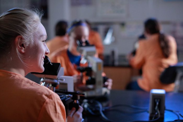 Veterinary Technology students using microscopes