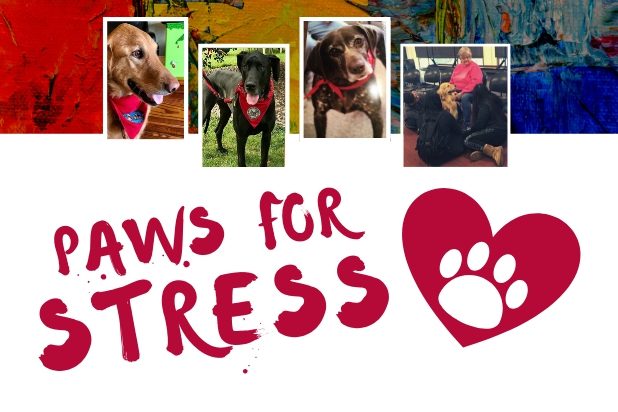 Paws for Stress Graphic