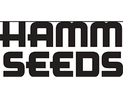 Hamm Seed