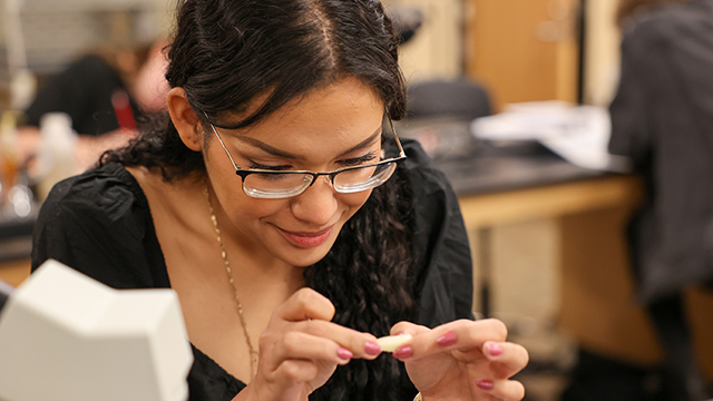 Biology student examining a piece of potato that was used in an experiement
