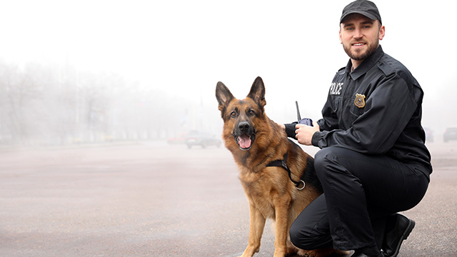 photo of peace officer with K9, with a foggy background