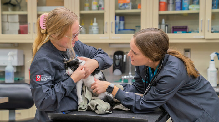 Veterinary Technology Information Session - Ridgewater College