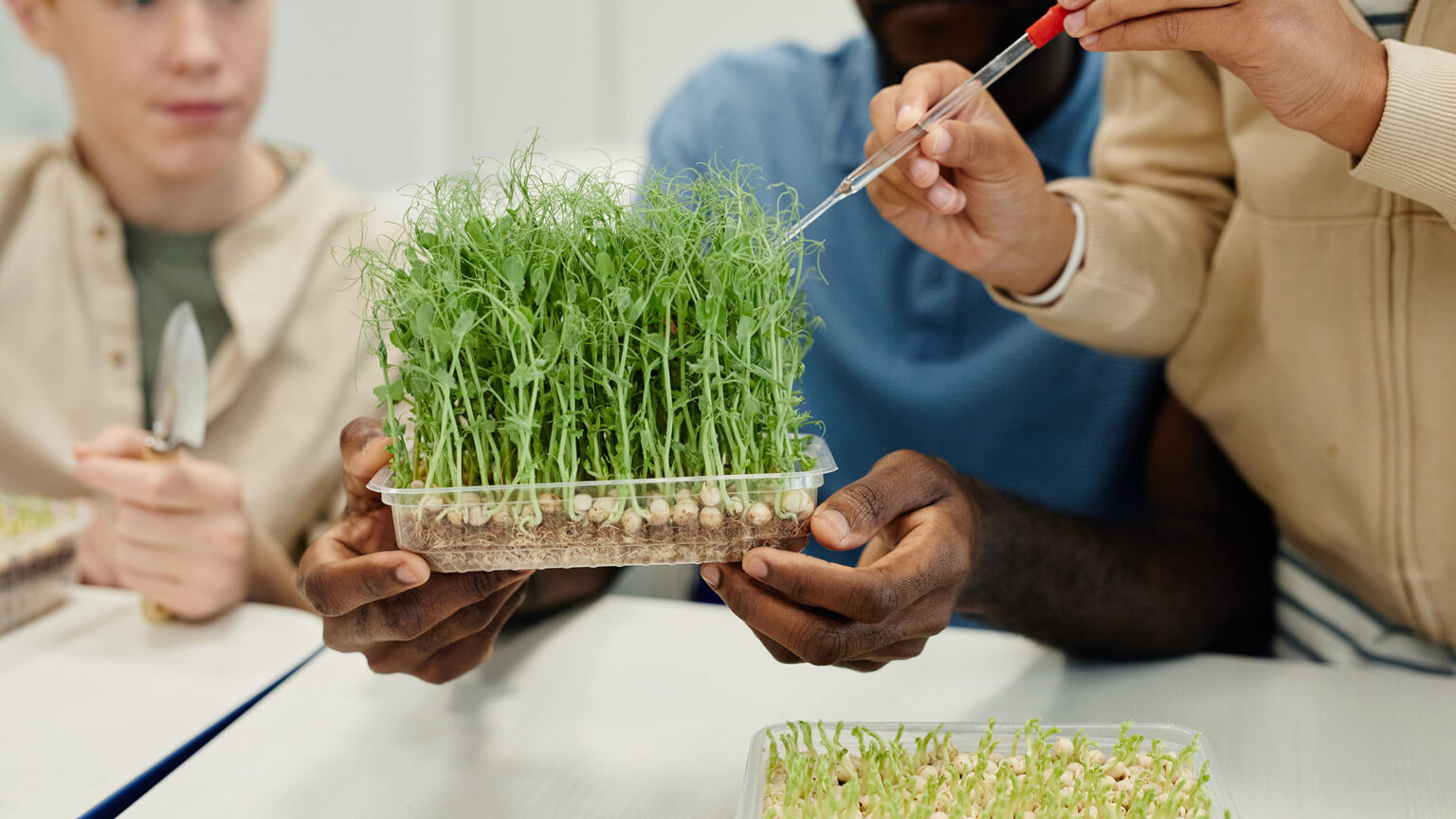 Agricultural Science and Technology - Ridgewater College