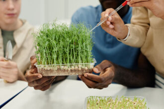 Agricultural Science and Technology