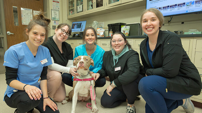 Veterinary Technology Information Session - Ridgewater College
