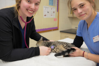 Veterinary Technology